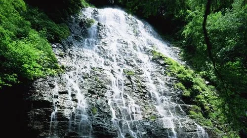高端可靠性自动化